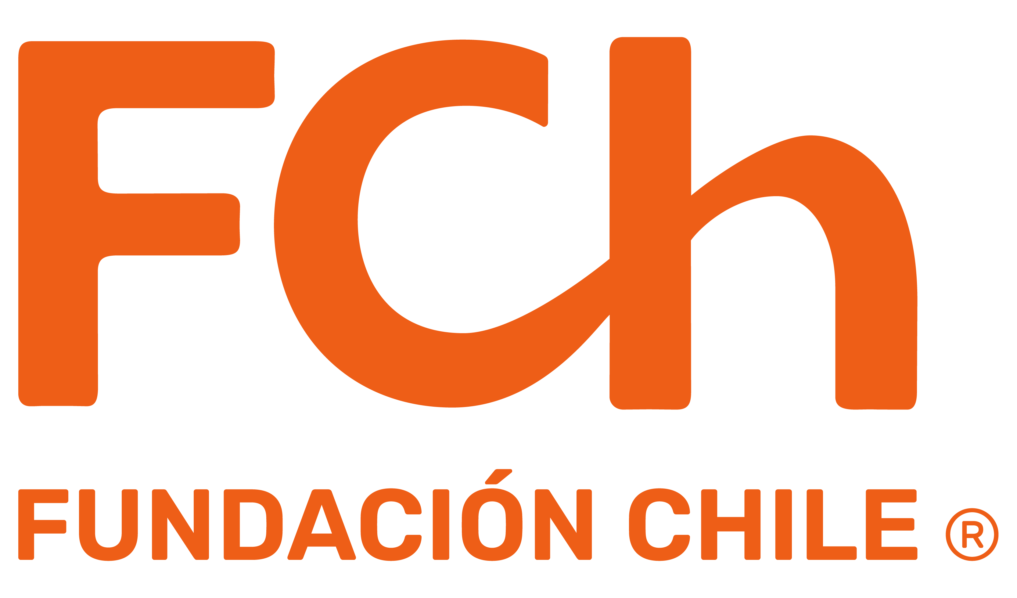 Fundación Chile