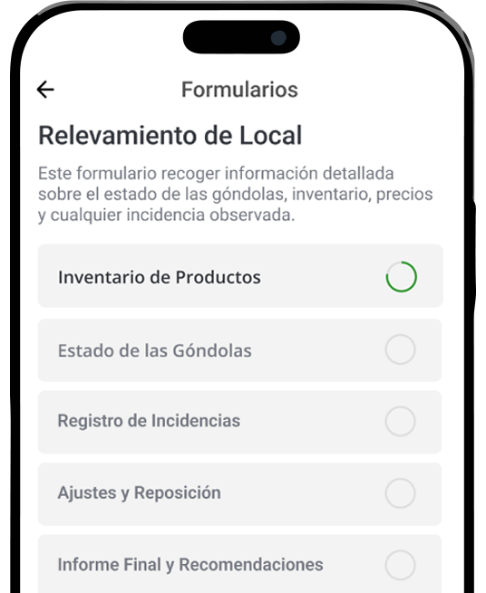 Relevamientos interface